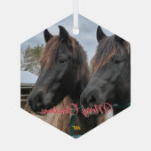 AHTホースレスキュー ガラスオーナメント (裏面)