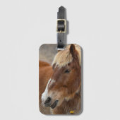 AHTホースレスキュー ラゲッジタグ (正面縦)