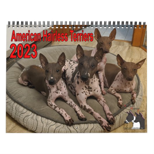 AHTCA 2023アメリカの毛のないテリアカレンダー カレンダー (カバー)