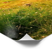 AIによって生成されたスコットランドのバグパイプ、 ポスター (コーナー)