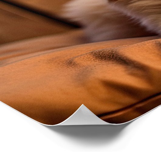 AIのミッドヤウンでゴールデンレトリバーの子犬が生成 ポスター (角)