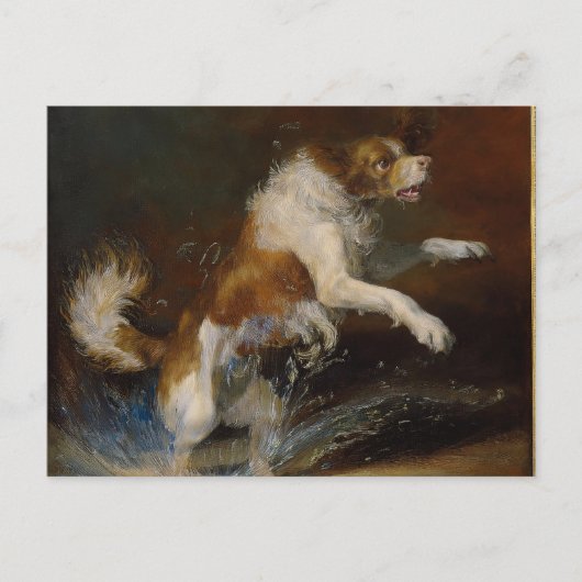 AIウェットドッグ ポストカード (正面)