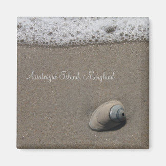 AIクラムシェルマグネット マグネット