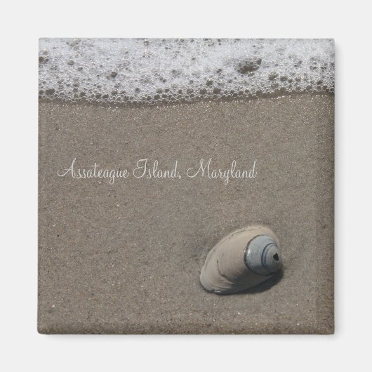 AIクラムシェルマグネット マグネット (正面)