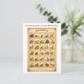 AI Fail Vintage Alphabet Chart with Animals ポストカード (スタンド正面)