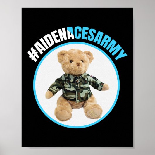 Aidenacesarmyがん白血病相伝との闘い ポスター (正面)