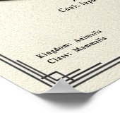 Aidi Zoology Series ポスター (角)