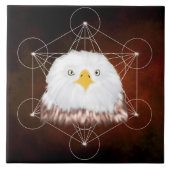 aigle metatron タイル (正面)