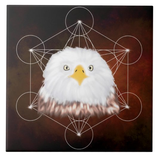 aigle metatron タイル (正面)