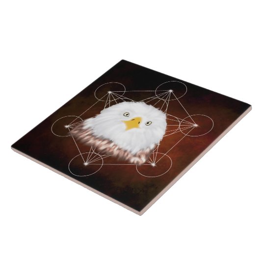 aigle metatron タイル (側面)
