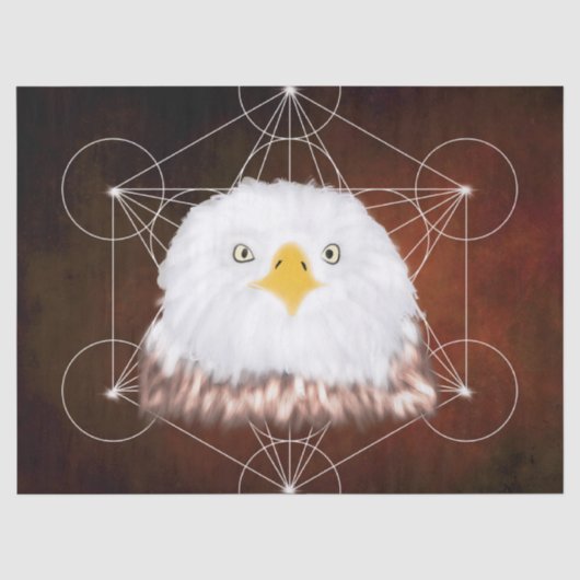 aigle metatron 薄葉紙 (正面)