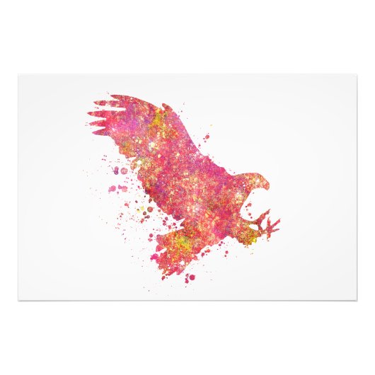 Aigle Oiseaux Forêt Sauvage Nature Monde Terre Vol フォトプリント (正面)