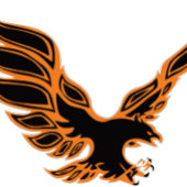 Aigle orange tシャツ