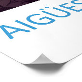 Aigüestortes I Estany De Sant Maurici National ポスター (角)