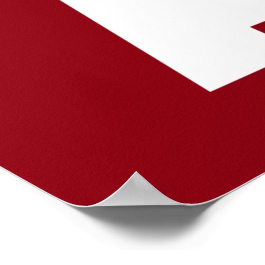 Aikido ポスター (角)