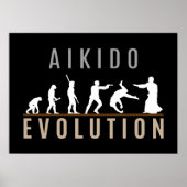 Aikido Evolution ポスター (正面)