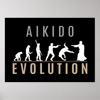Aikido Evolution ポスター