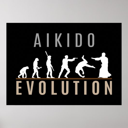 Aikido Evolution ポスター (正面)
