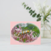 Ailanthus Webworm Moth (Atteva Puntertila)アイテム ポストカード (スタンド正面)