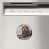 aimant avec lagotto marron マグネット (インサイチュ (食洗機))