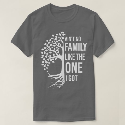 Aint No Family Like The One I Got Funny Family Reu Tシャツ (デザイン正面)