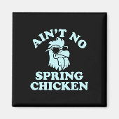 Ain't No Spring Chicken Funny Design  マグネット (正面)