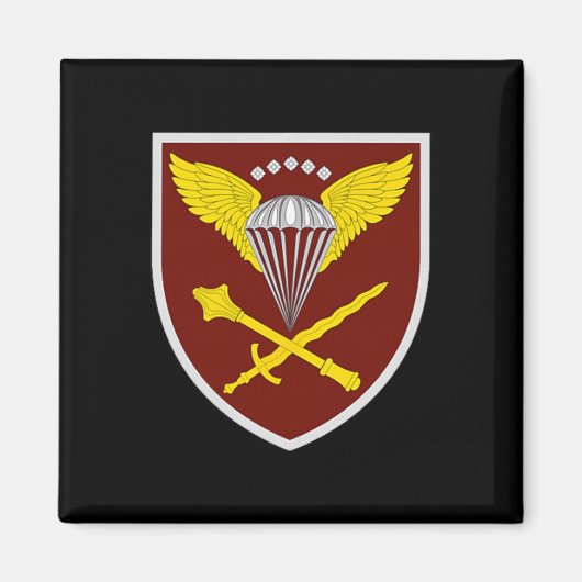 Air Ault Forces Command (ukraine) V2 Ukrainian Mil マグネット (正面)