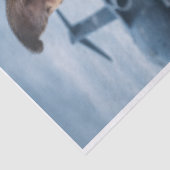 Air Force Pupper  薄葉紙 (詳細)