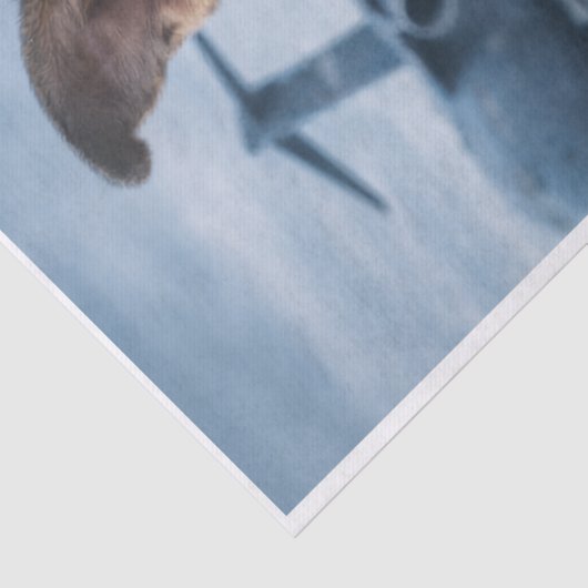 Air Force Pupper  薄葉紙 (詳細)