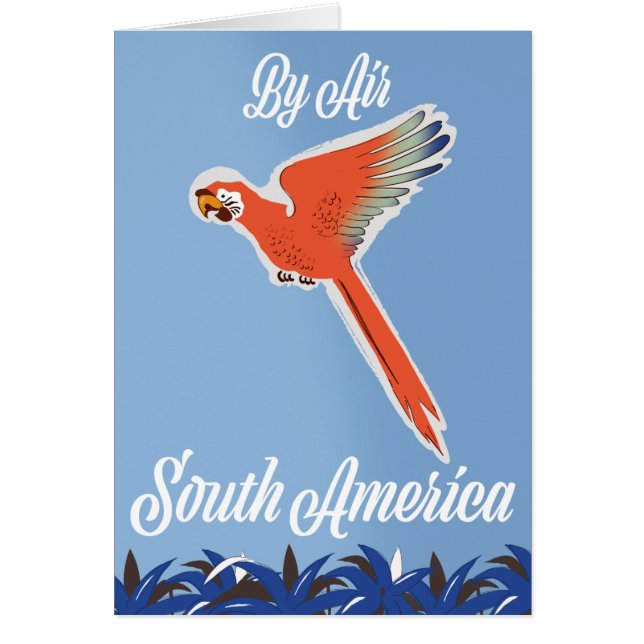 Air South America (正面)