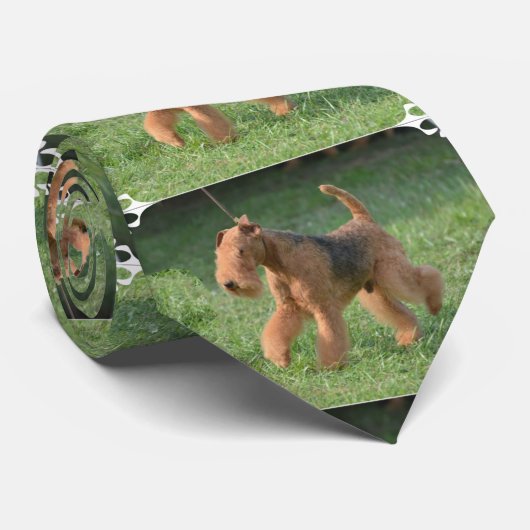 Airdale甘いテリア ネクタイ (ロール)