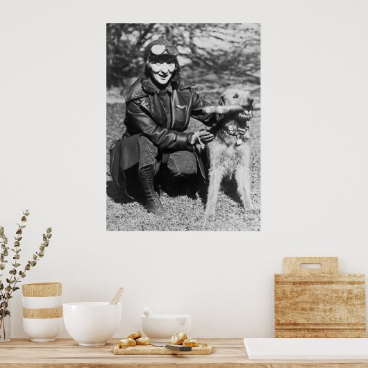 AiredaleとAviatrix, 1920年代初期 ポスター (キッチン)