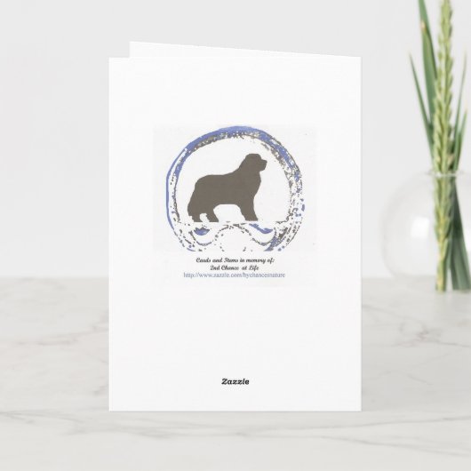 Airedaleテリアカード カード (裏面)