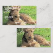 Airedaleテリア犬の名刺 名刺 (正面/裏面)