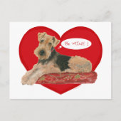 Airedale/ウェルシュテリアのバレンタイン シーズンポストカード (正面)