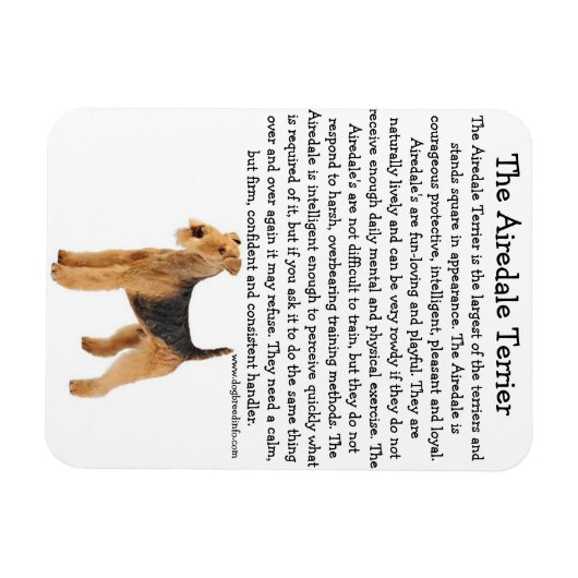 Airedale Infoマグネット マグネット (横)