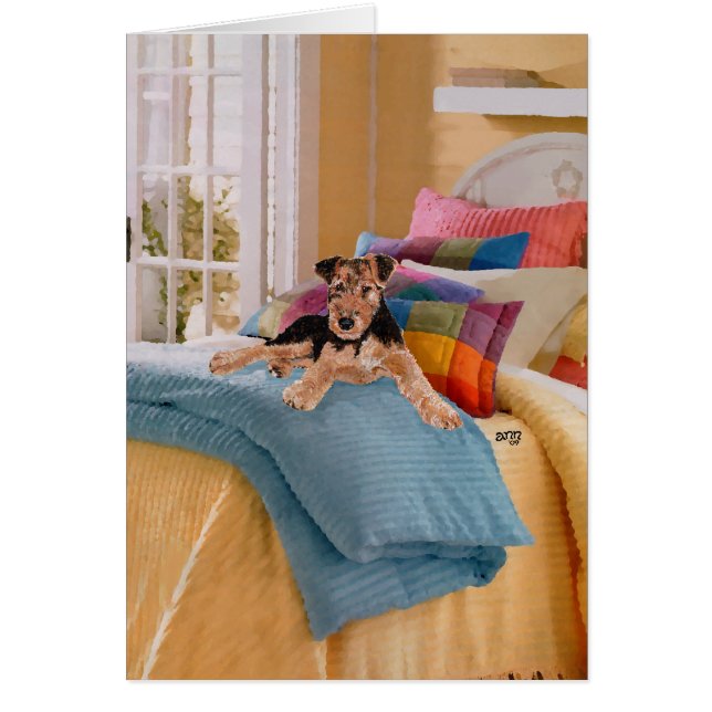 Airedale、LakelandまたはWelsh Terrier Pup (正面)