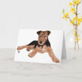 Airedale, Lakeland, Welsh Terrier Pup カード (黄色い花)