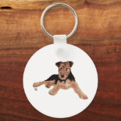 Airedale, Lakeland, Welsh Terrier Pup キーホルダー (正面)