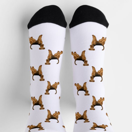 Airedale Terrier可愛いBingley Terrier Dog Pattern ソックス (上部)