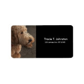 Airedale Terrier新しいアドレス ラベル (正面)