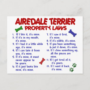 AIREDALE TERRIER財産法2 ポストカード