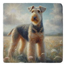 Airedale Terrier