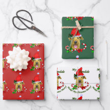 Airedale Terrier Santa Hatクリスマス