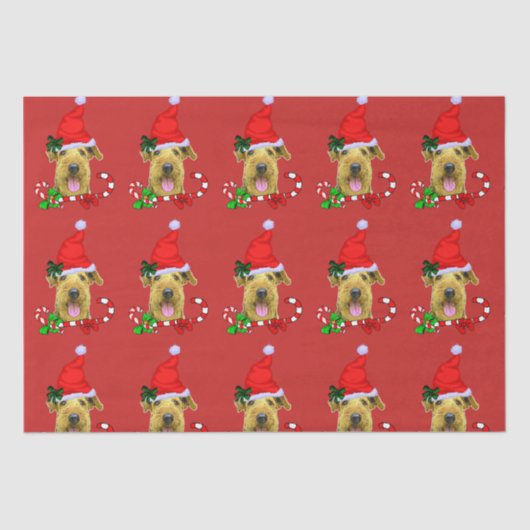 Airedale Terrier Santa Hatクリスマス 薄葉紙 (正面)
