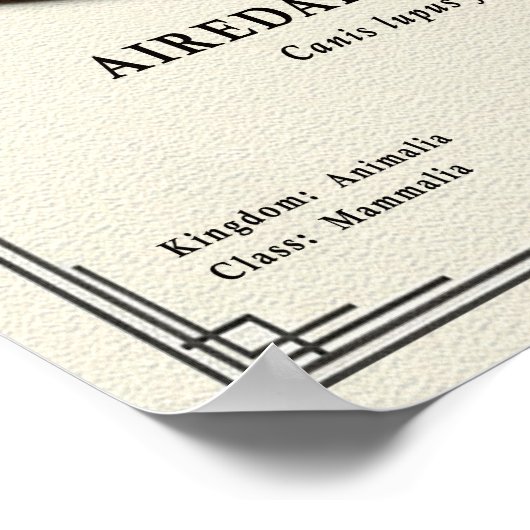 Airedale Terrier Zoology Series ポスター (角)