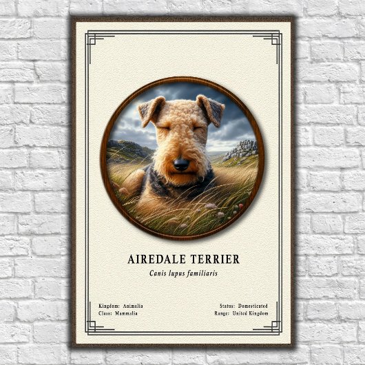 Airedale Terrier Zoology Series ポスター