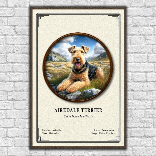 Airedale Terrier Zoology Series ポスター