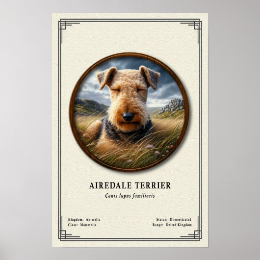 Airedale Terrier Zoology Series ポスター (正面)