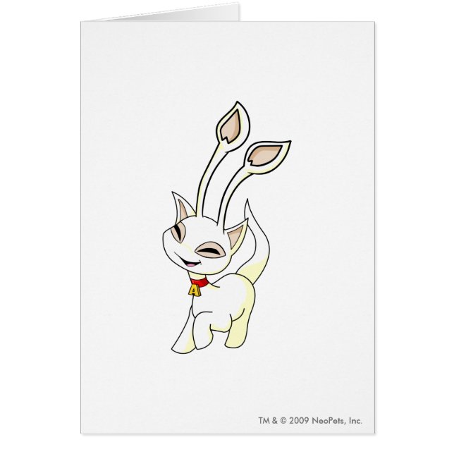 Aishaの白 (正面)